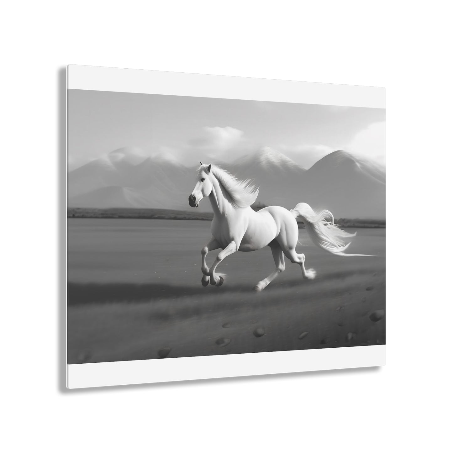 Wild Horses Limited Series - Acrylic Prints