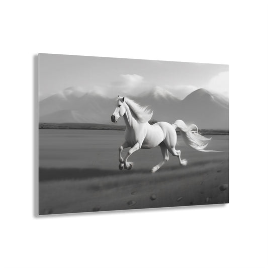 Wild Horses Limited Series - Acrylic Prints